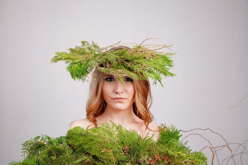 Фотография автора Дмитрий Соколов