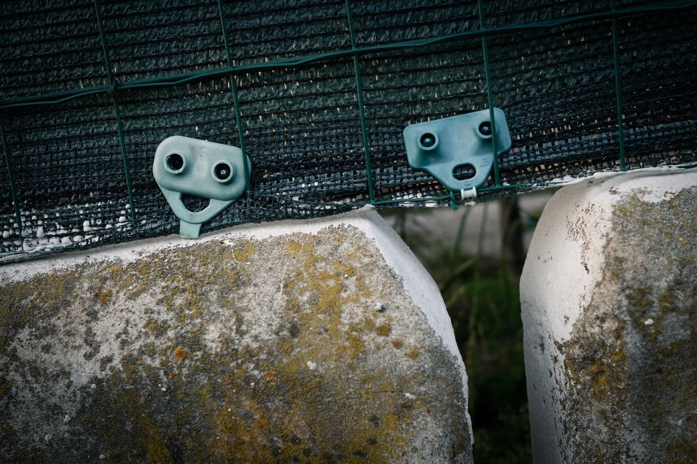 Photograph by Paolo Mangoni