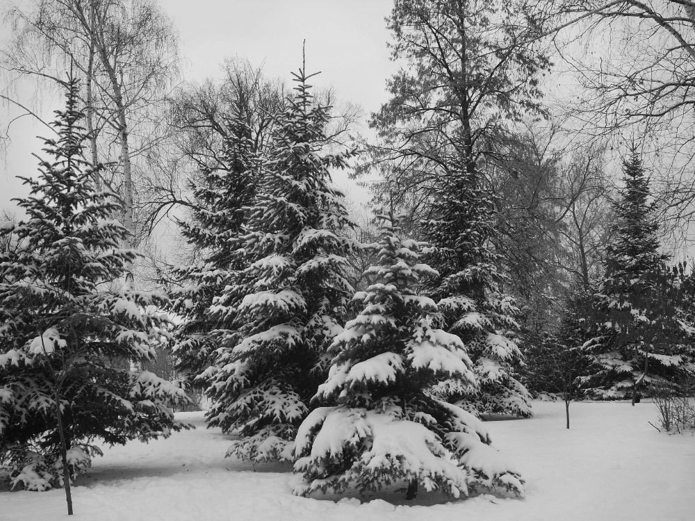 Photograph by Elena Khalizova