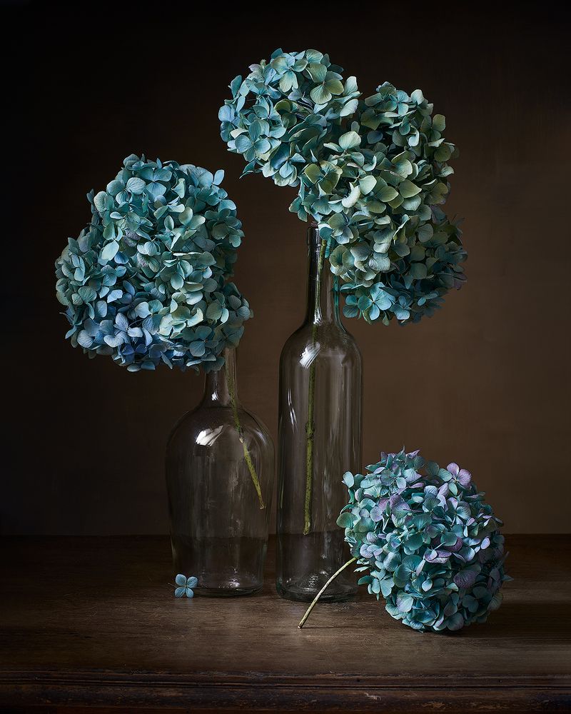 Натюрморт с гортензией