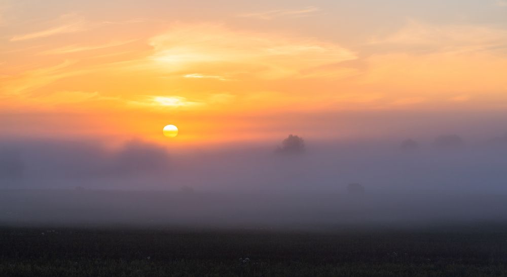 Photograph by Eriks Zilbalodis