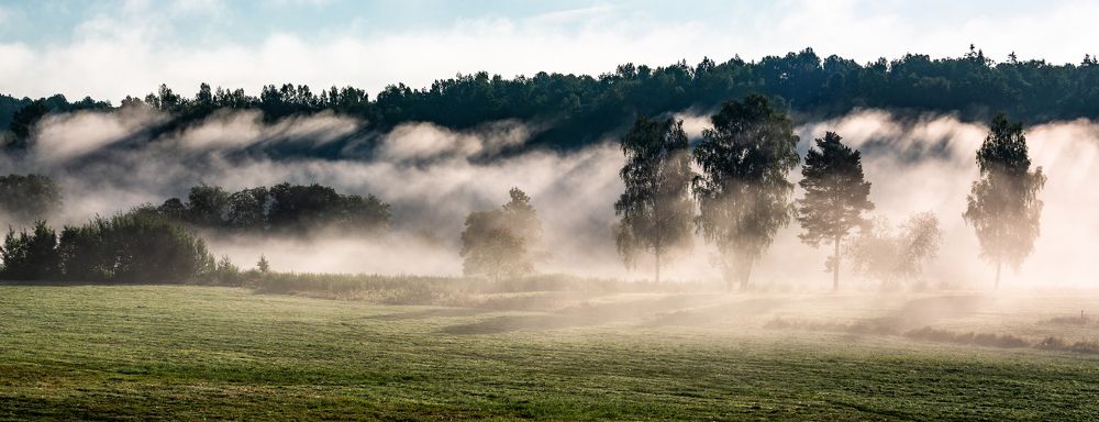 Photograph by Eriks Zilbalodis