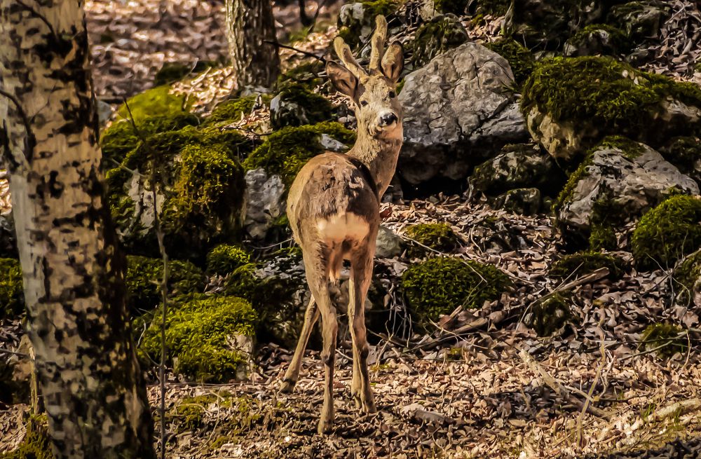 Photograph by Игорь Сидун