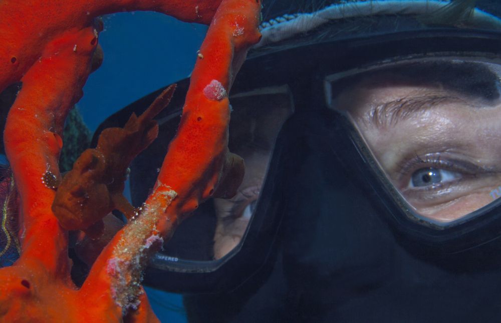 Photograph by Юрий Перевозников