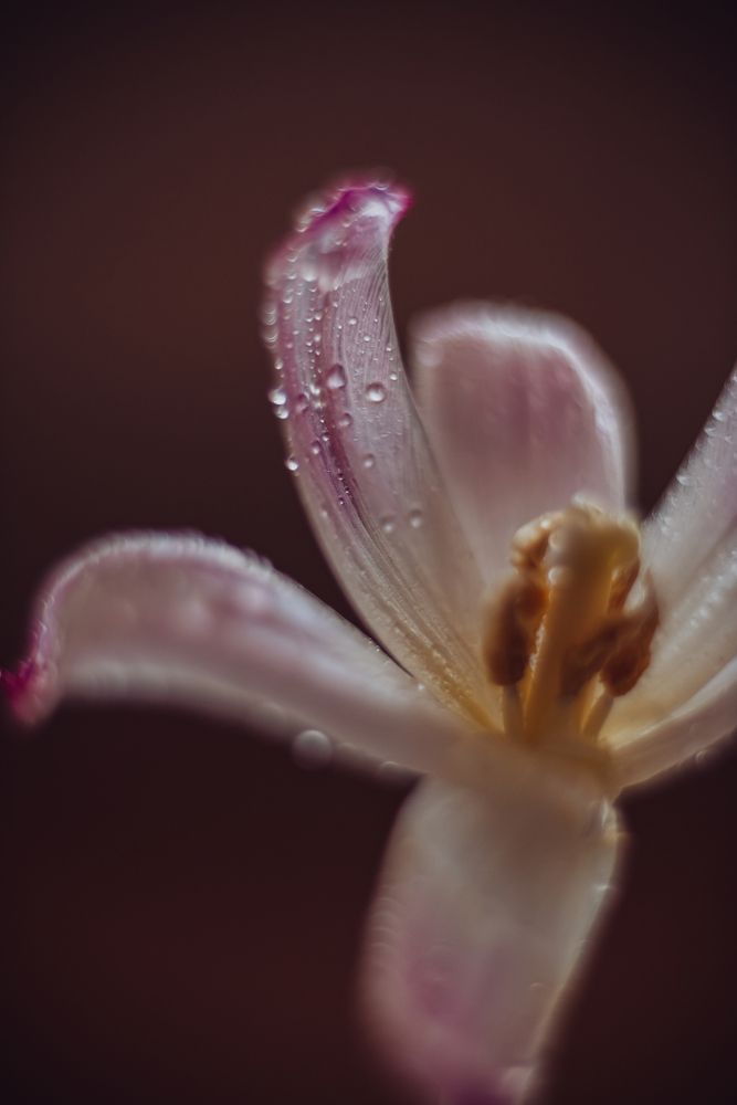 Photograph by Ирина Летунова