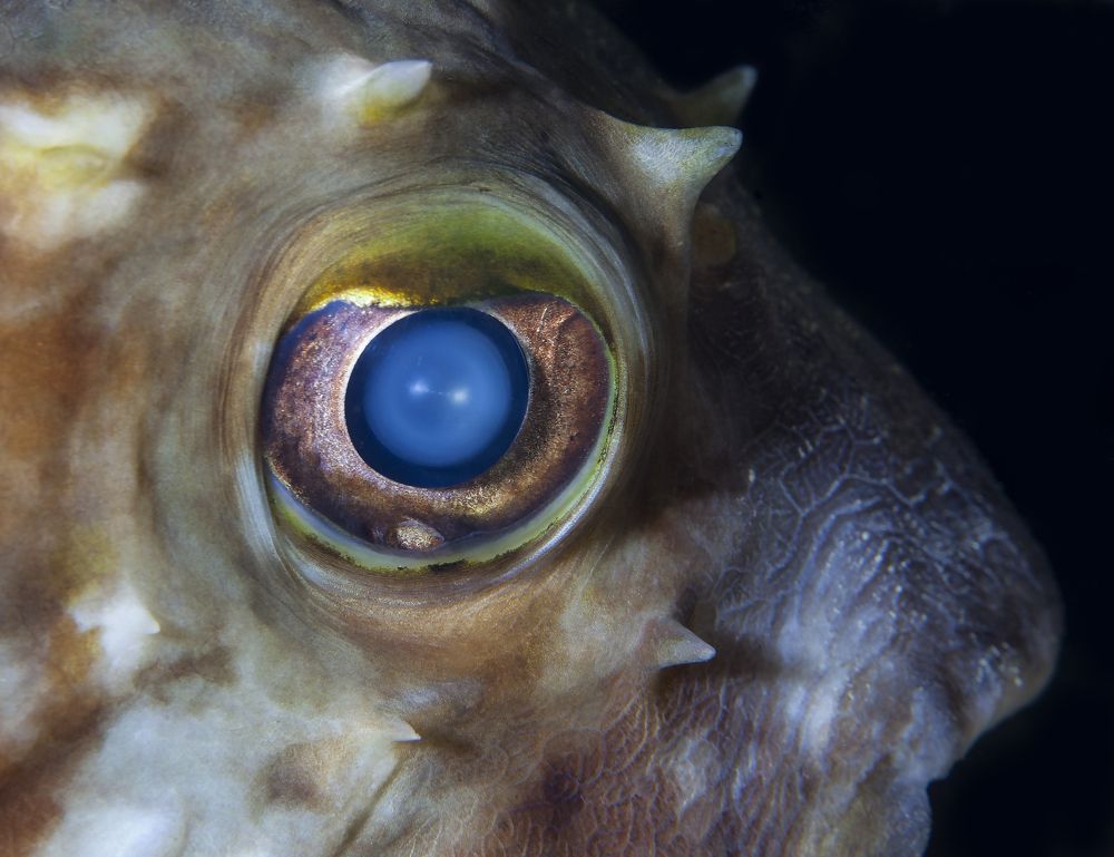 Photograph by Юрий Перевозников