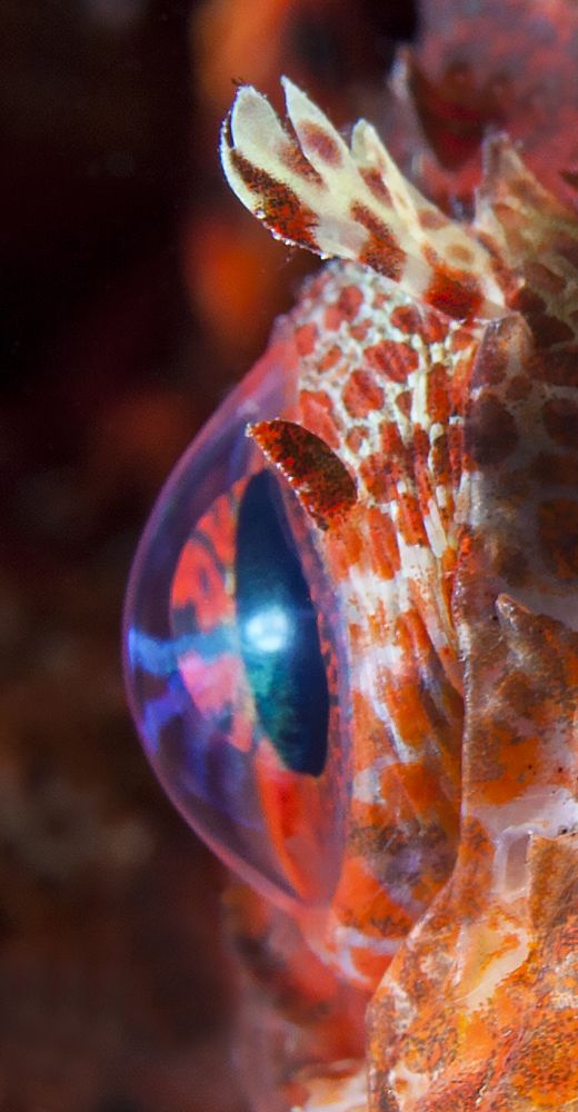 Photograph by Юрий Перевозников