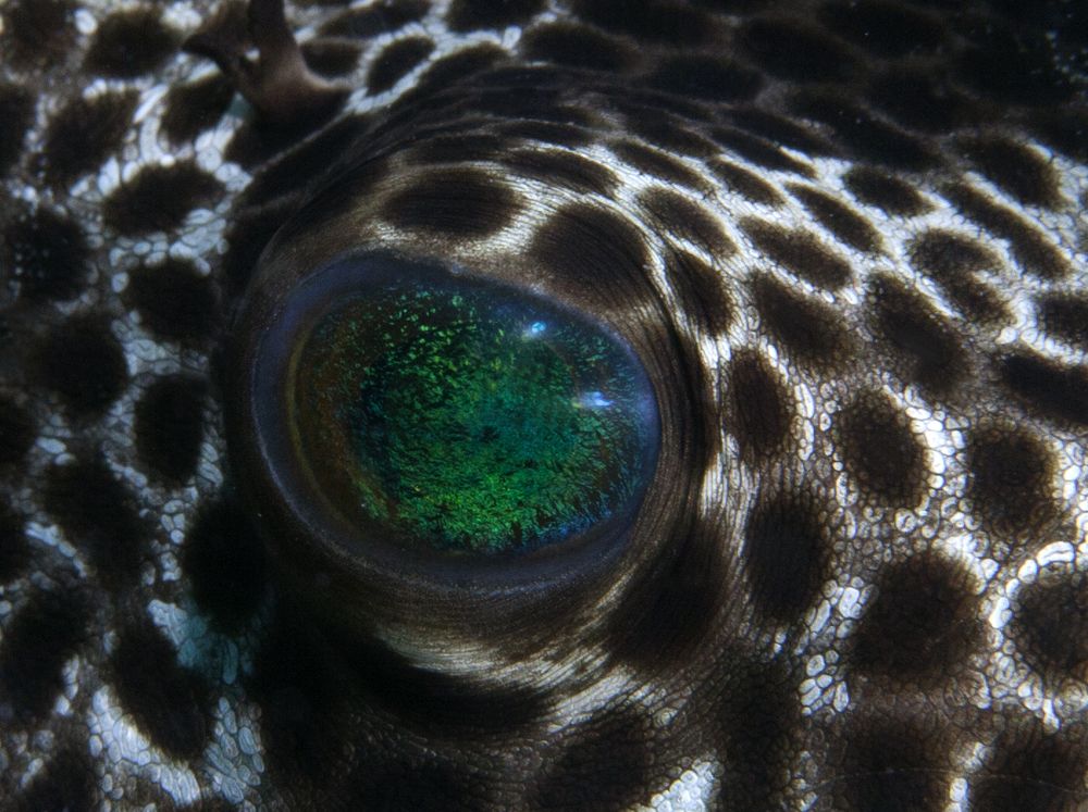 Photograph by Юрий Перевозников