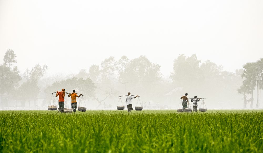 Beauty of Bangladesh