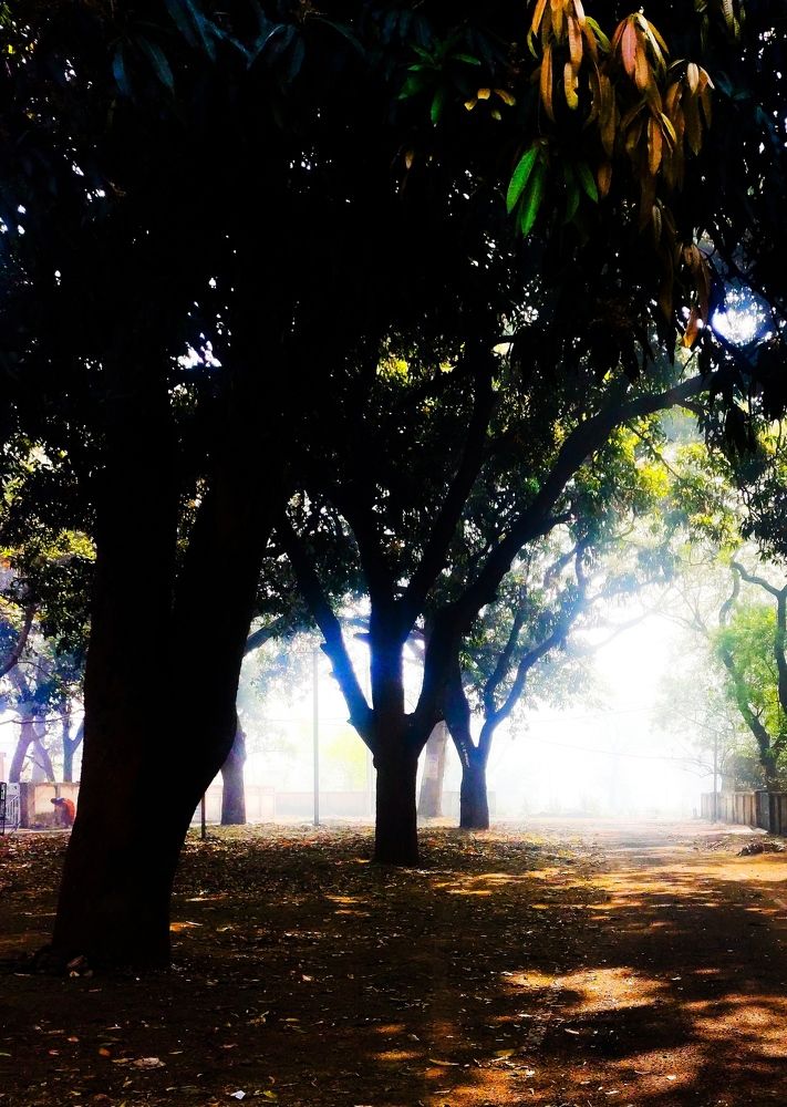 Фотография автора Santanu Dasgupta