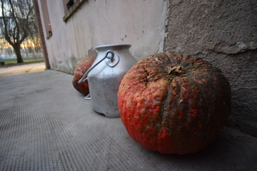 Photograph by Сергей Кривоносов