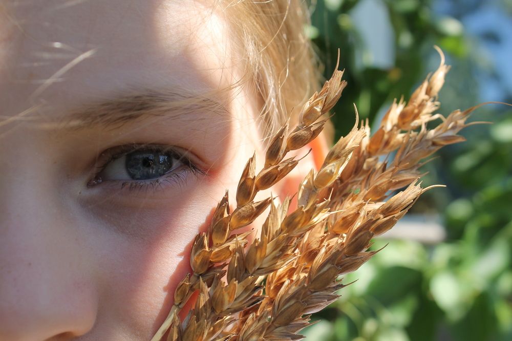 Photograph by Ekaterina