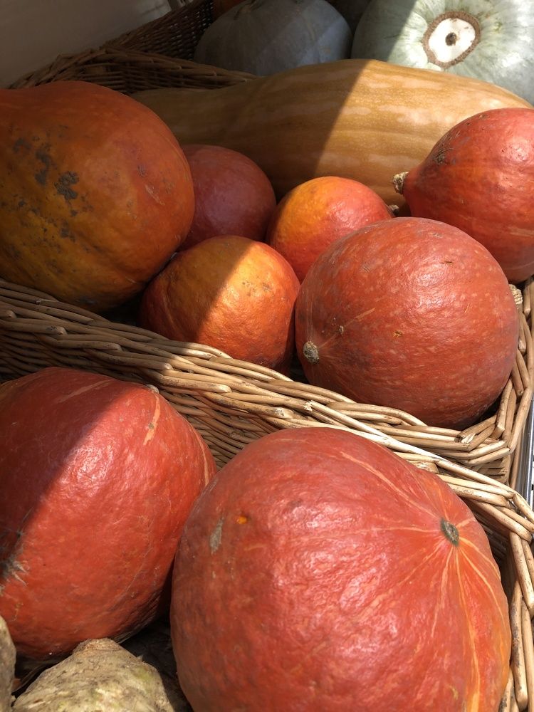 Photograph by Ekaterina