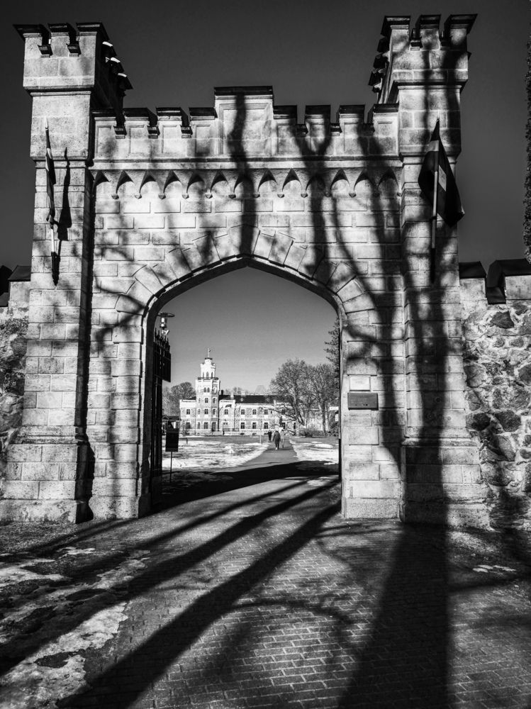 Photograph by Дмитрий Лебедь