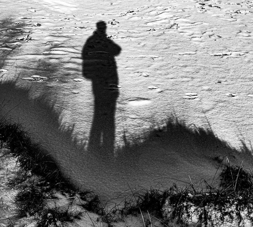 Фотография автора Дмитрий Лебедь