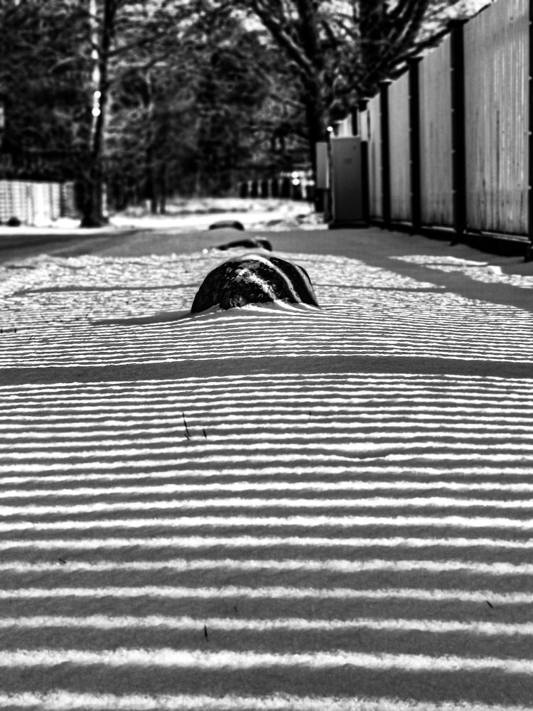 Фотография автора Дмитрий Лебедь