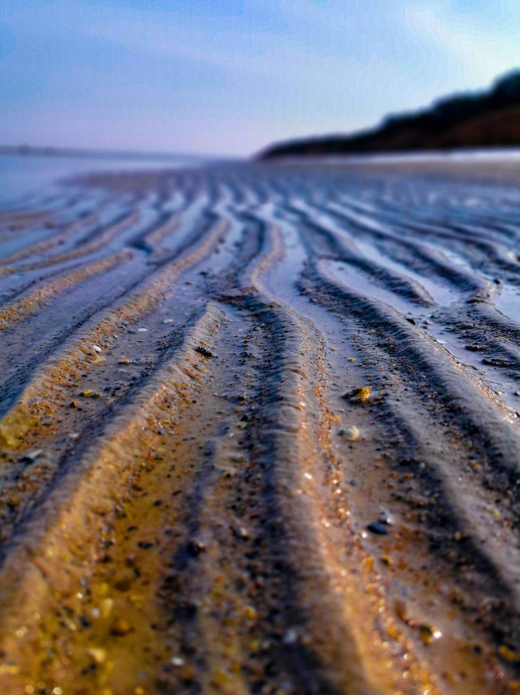 Фотография автора Дмитрий Лебедь