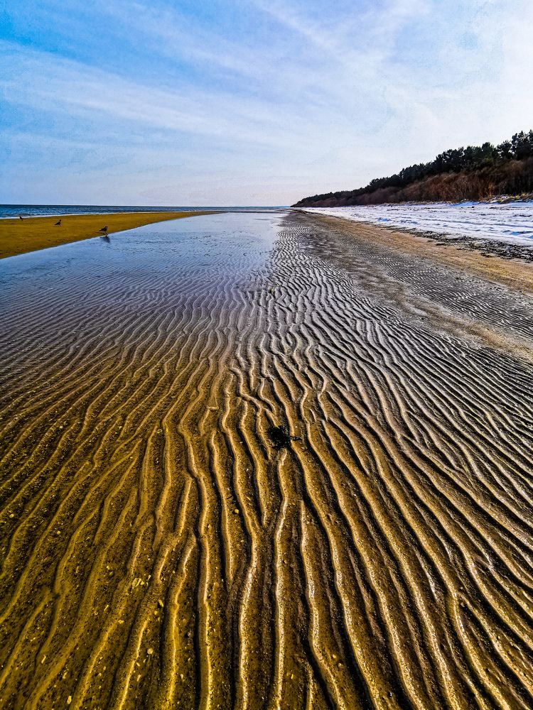 Фотография автора Дмитрий Лебедь