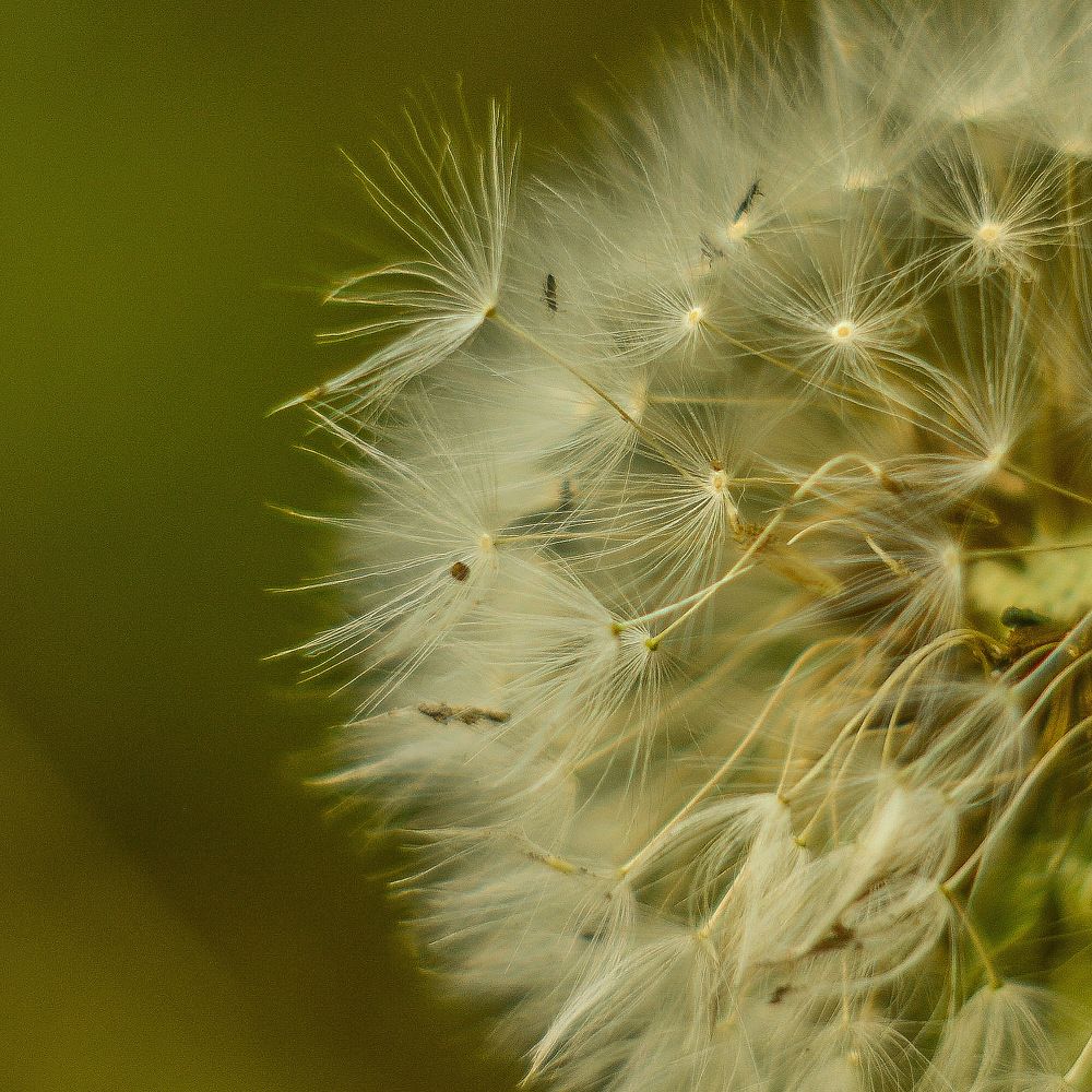 Photograph by Денис Кононов