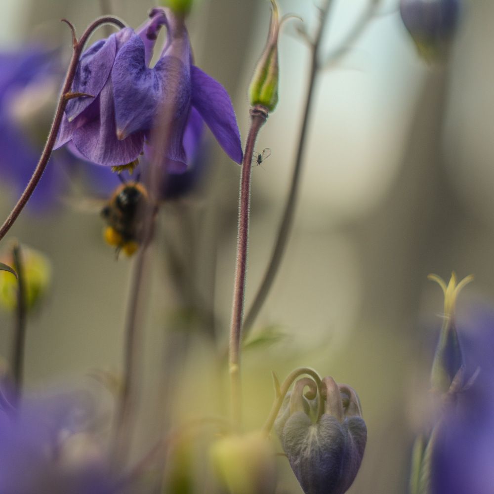 Photograph by Денис Кононов