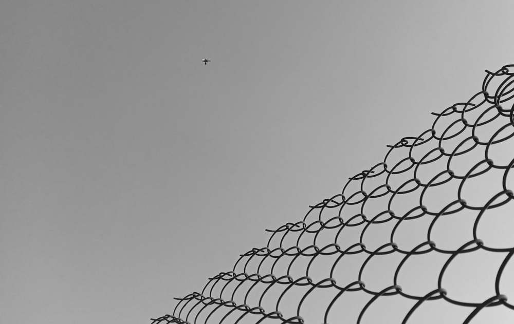 Photograph by egzi Pouria_marhamat