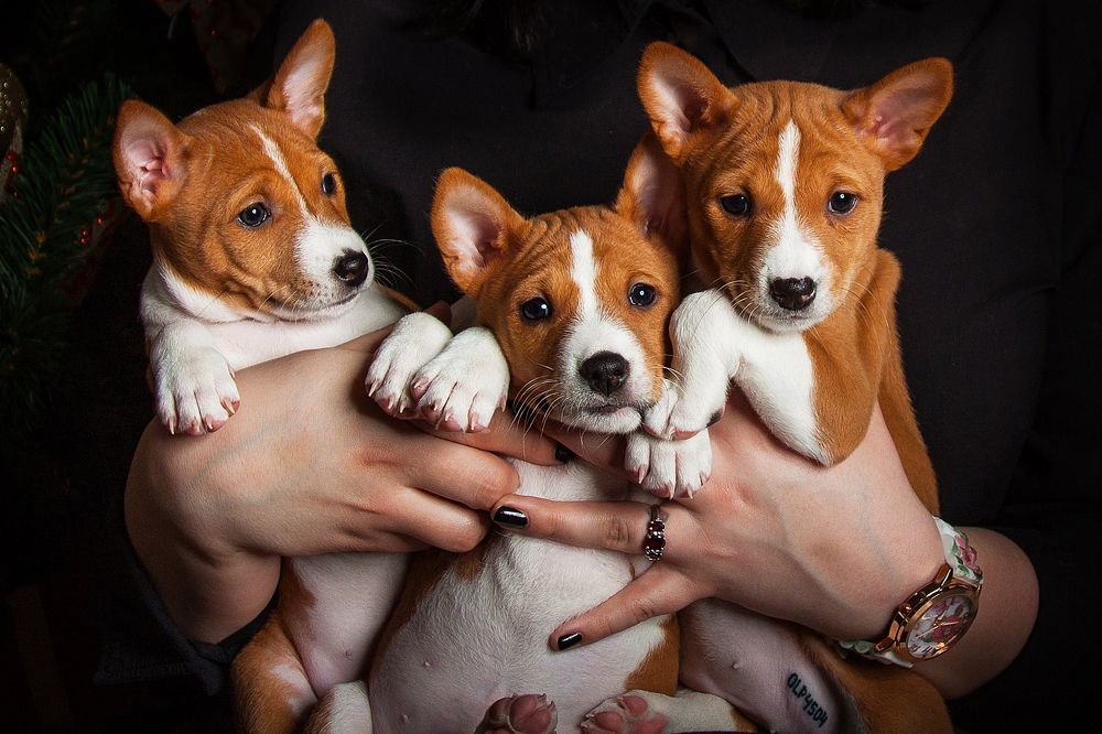 Photograph by Ева Золотова