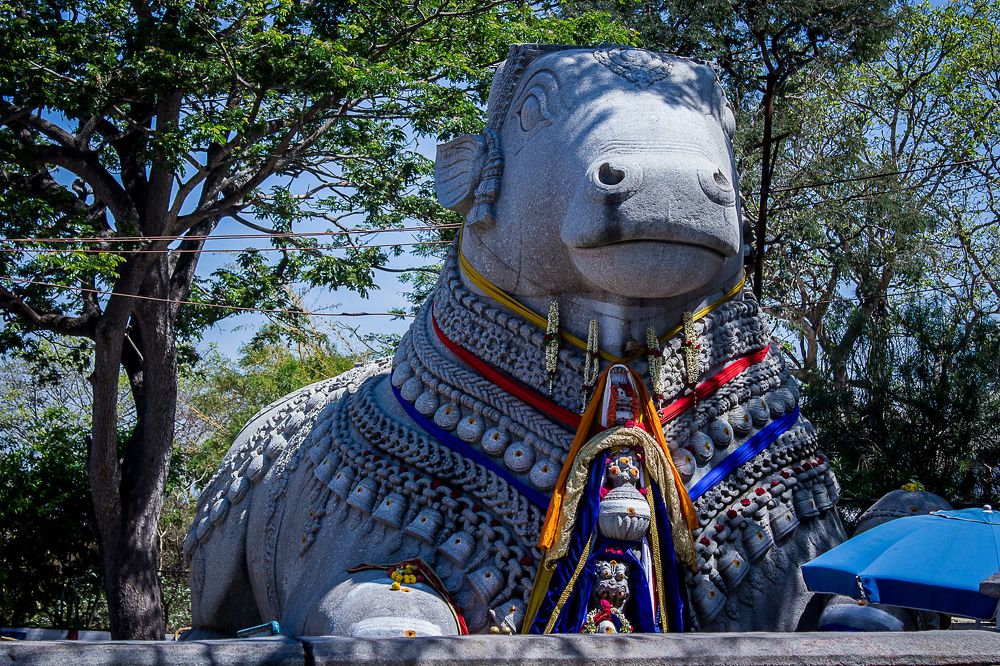 Photograph by Prasad Pavan