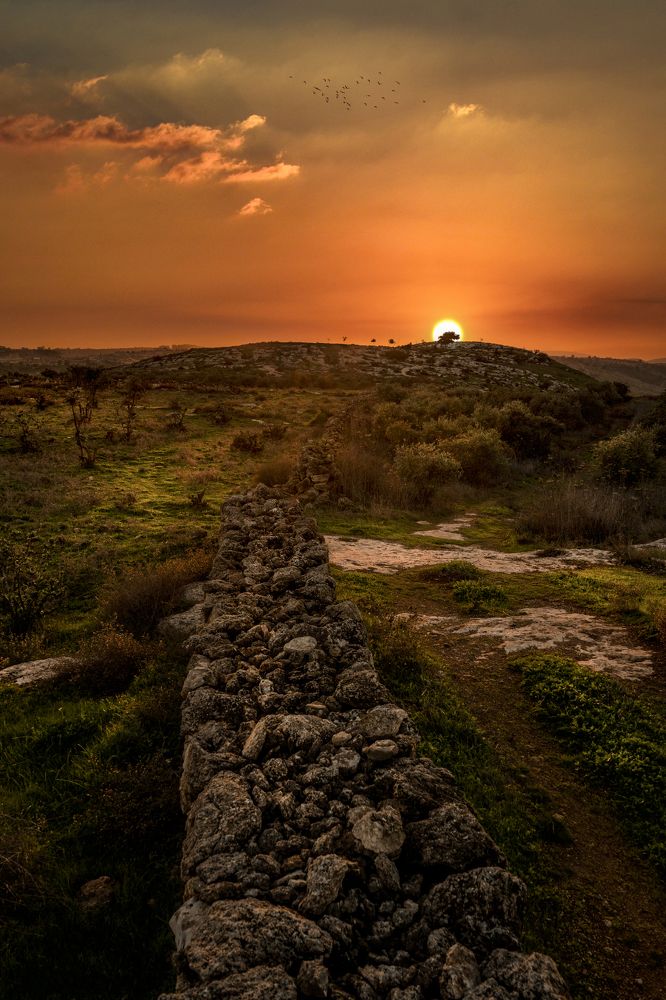 Photograph by khaldoon Abu Ordon