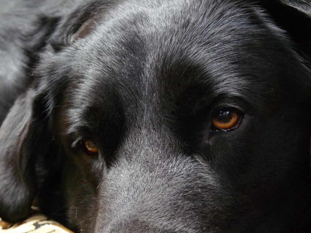 Photograph by Марина