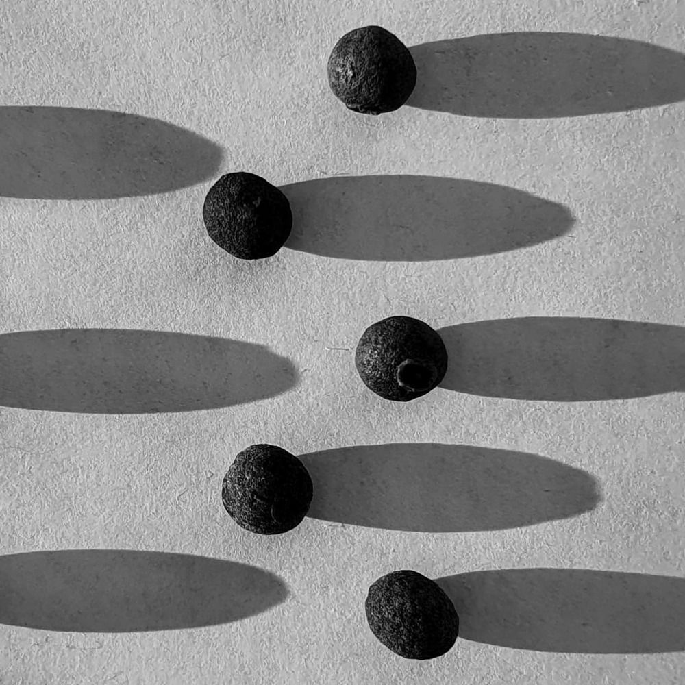 Photograph by Елена Власова