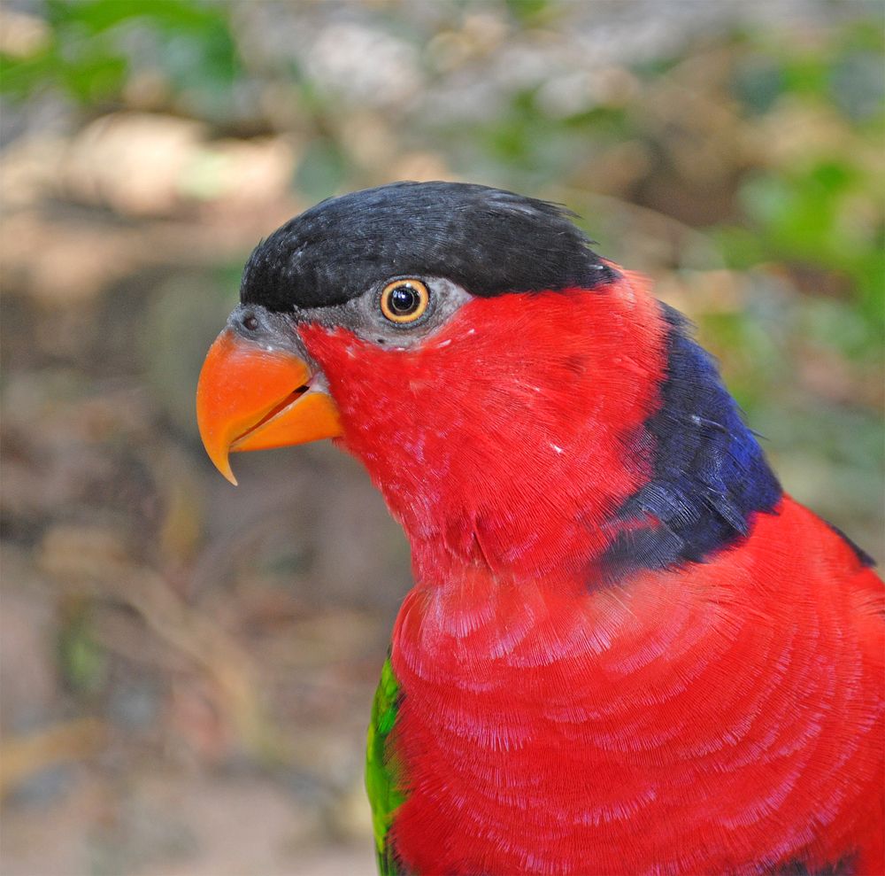 Photograph by Алексей