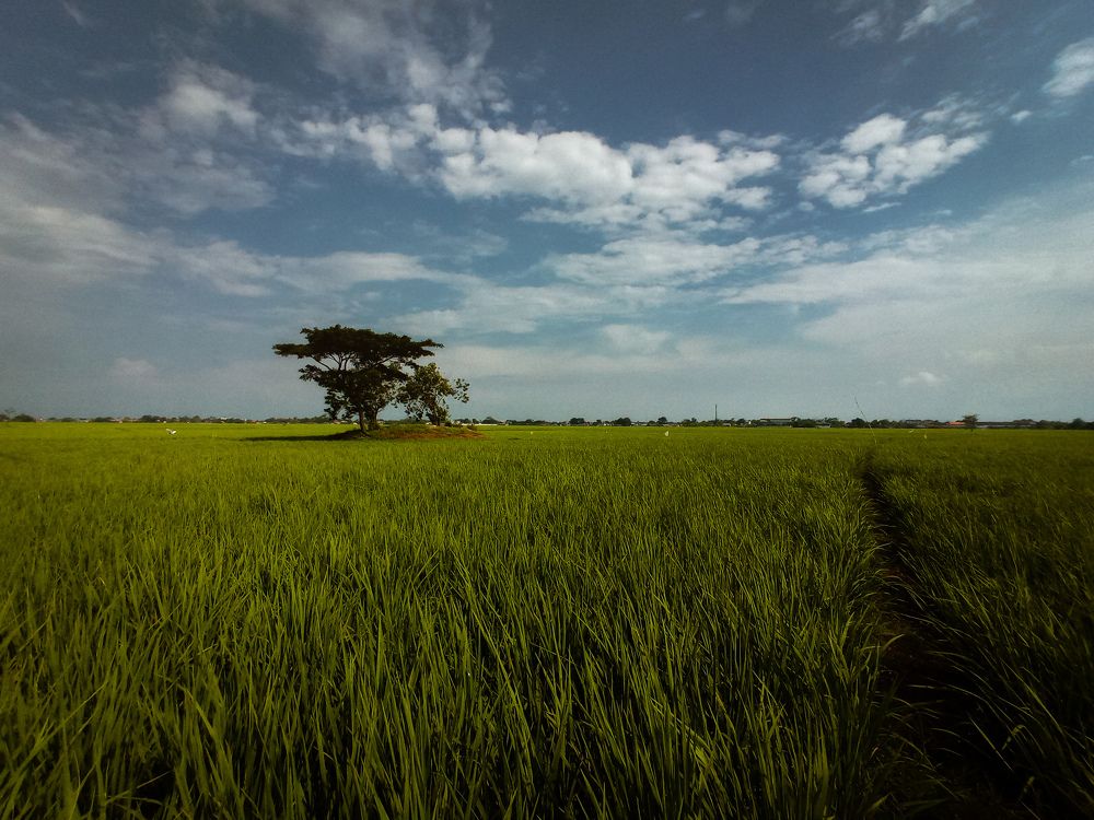 Photograph by SYARIPUDIN Fudiin