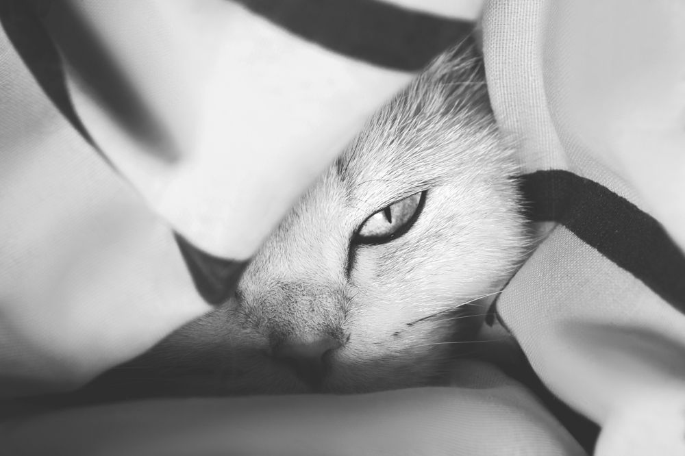 Photograph by Елена Неведицына