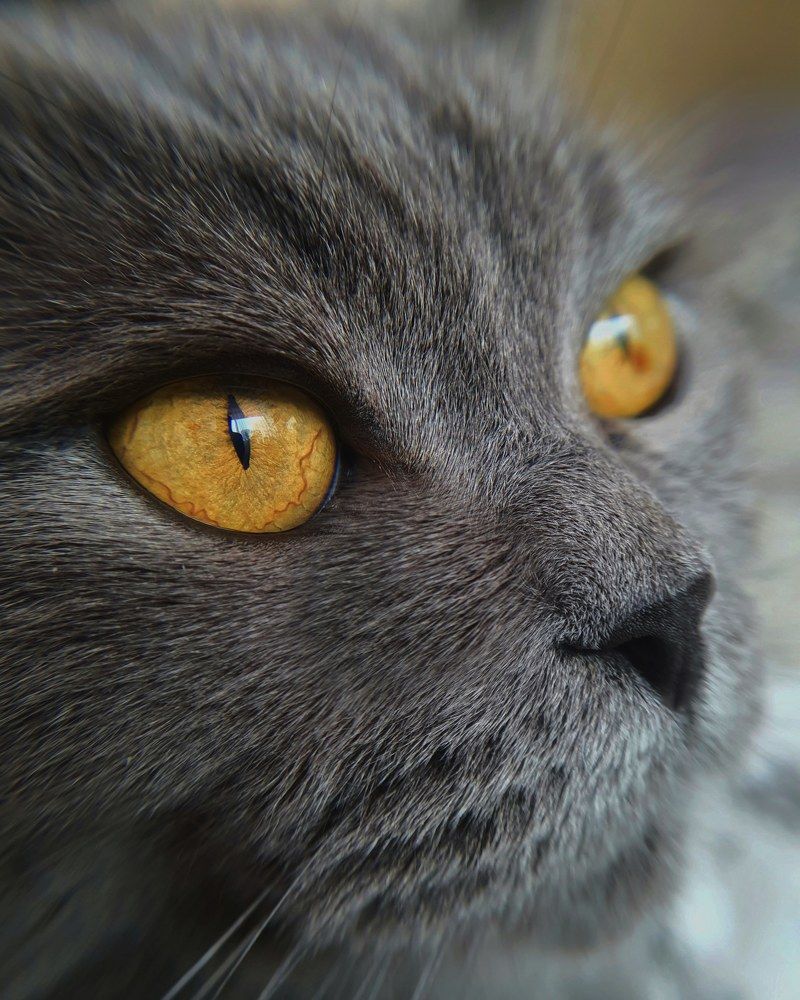 Photograph by Татьяна Мельникова