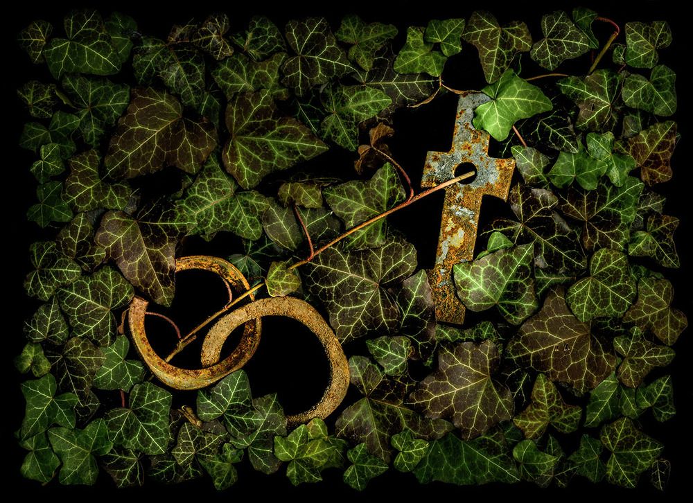 Photograph by Peter Hennig