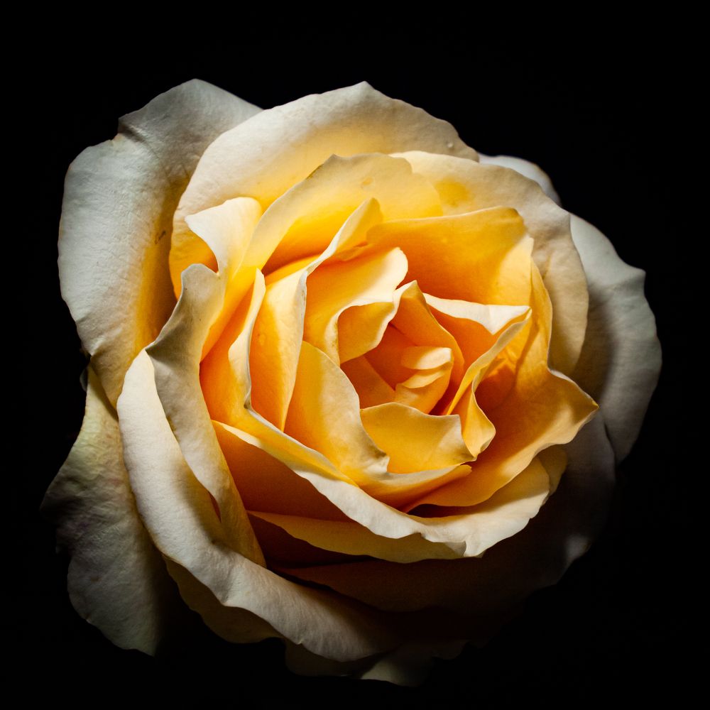 Photograph by Иван