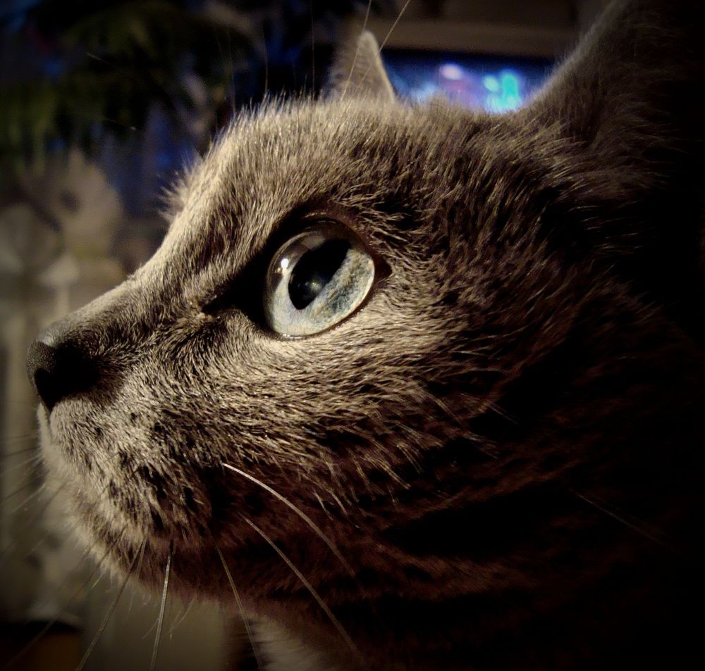 Photograph by Eлена Смирнова