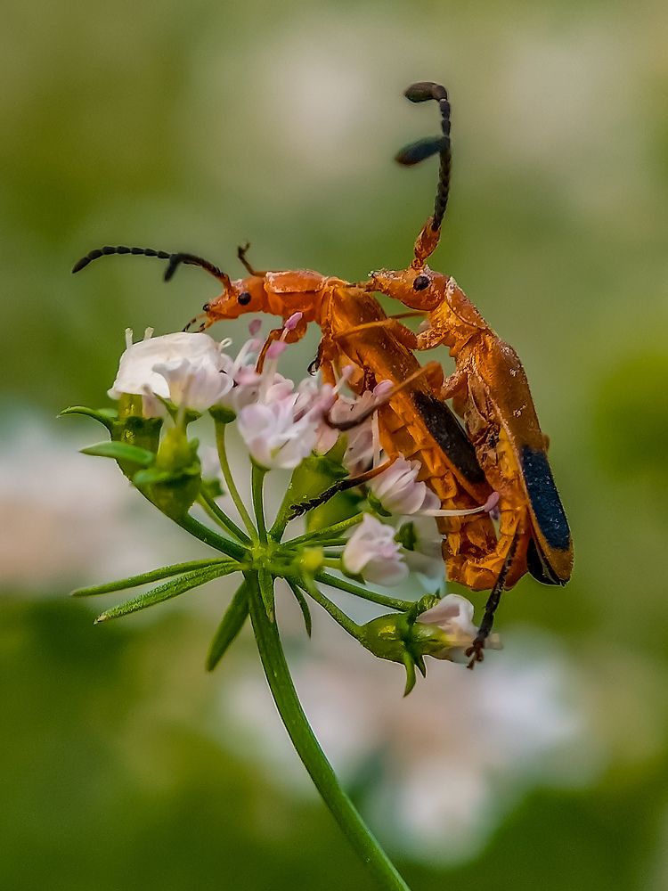 Photograph by Rahul Dey