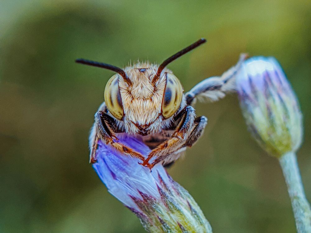 Photograph by Restito Carreon