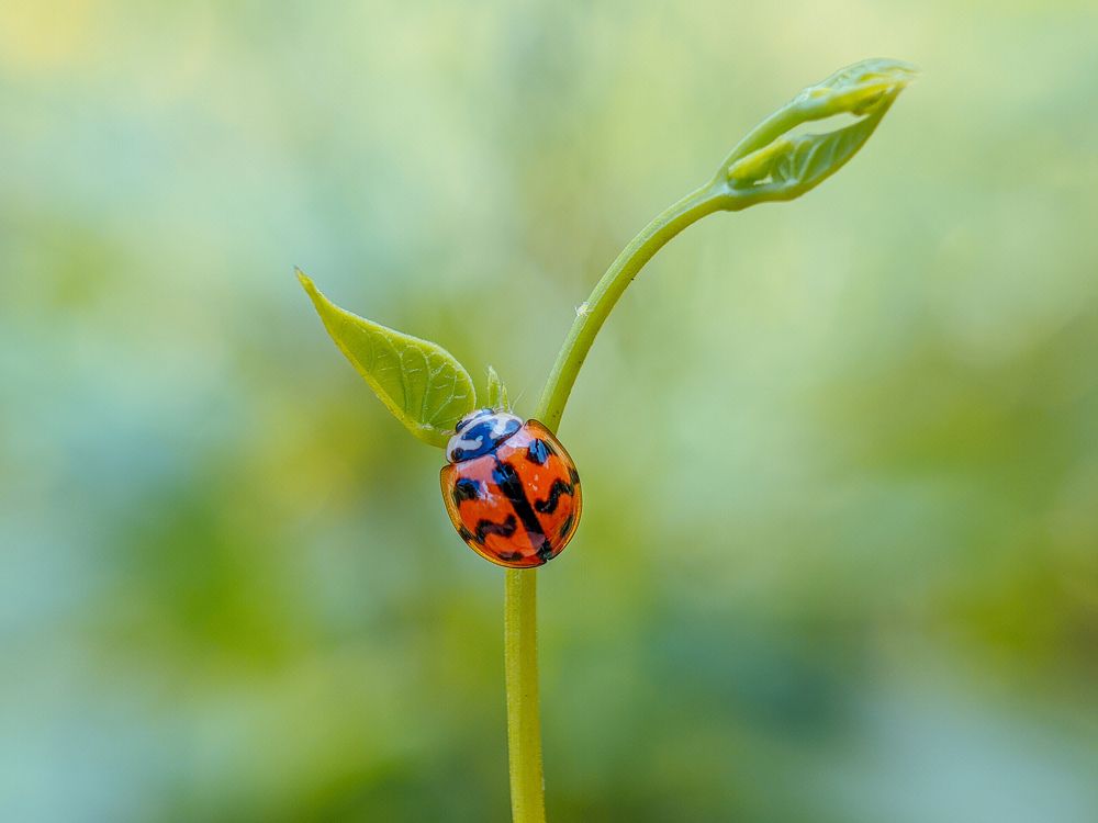 Photograph by Restito Carreon