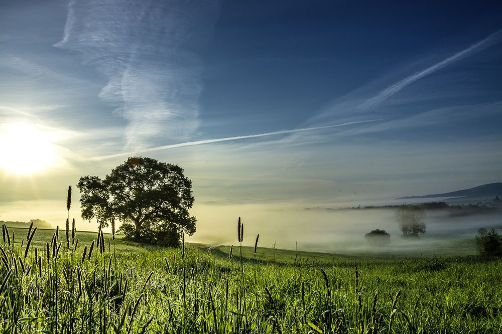 Photograph by Peter Hennig