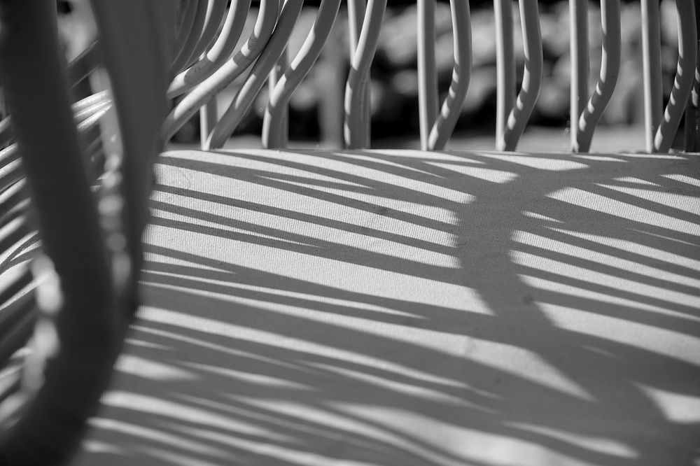 Photograph by dewa putra