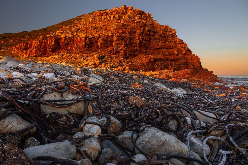Photograph by Слащилина Нина