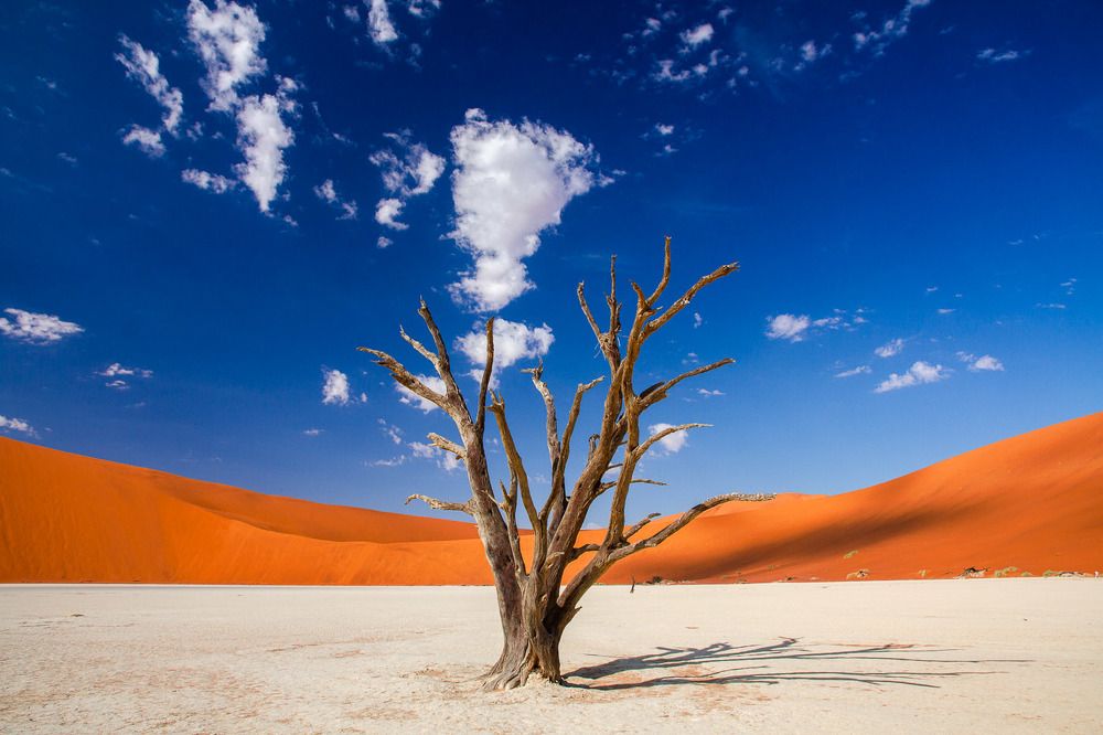 Photograph by Слащилина Нина