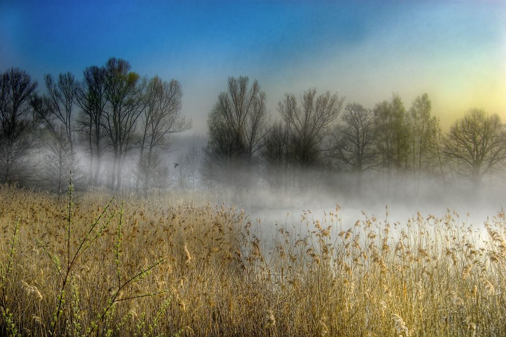 Photograph by Peter Hennig