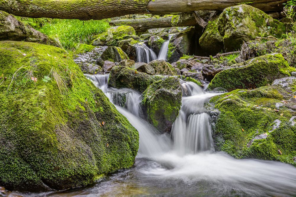 Photograph by Peter Hennig