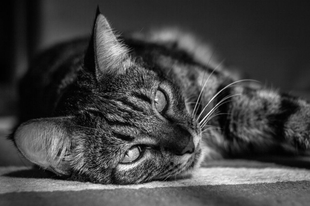 Photograph by Сергей Фаренюк