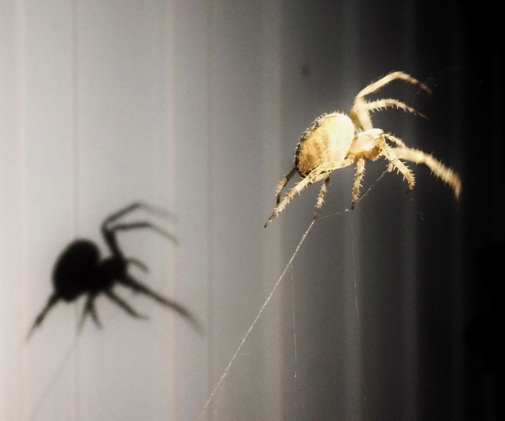 Photograph by Лео Шумов