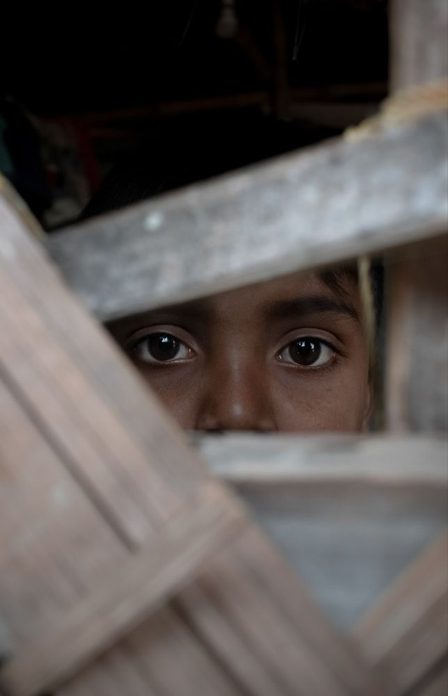 Фотография автора Tathagata Ghosh