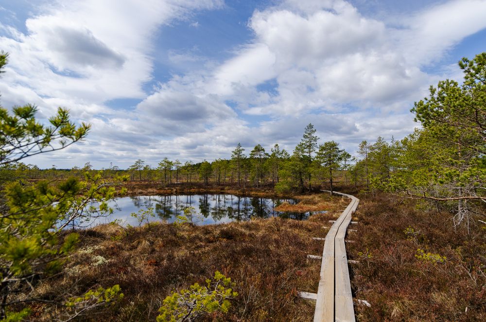 Фотография автора Юрий Макаров
